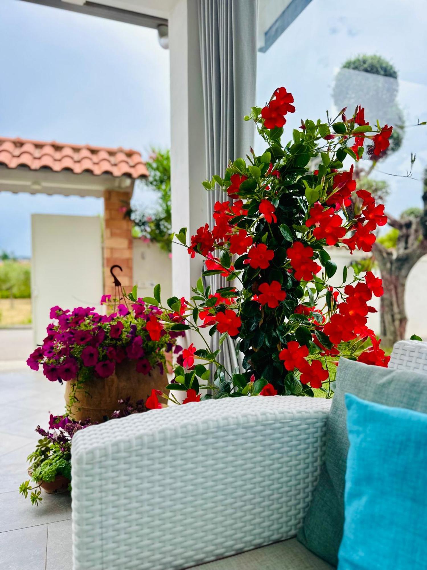 Invilla Bed&Breakfast - Quality Rooms Санта-Марія-ді-Кастеллабате Екстер'єр фото