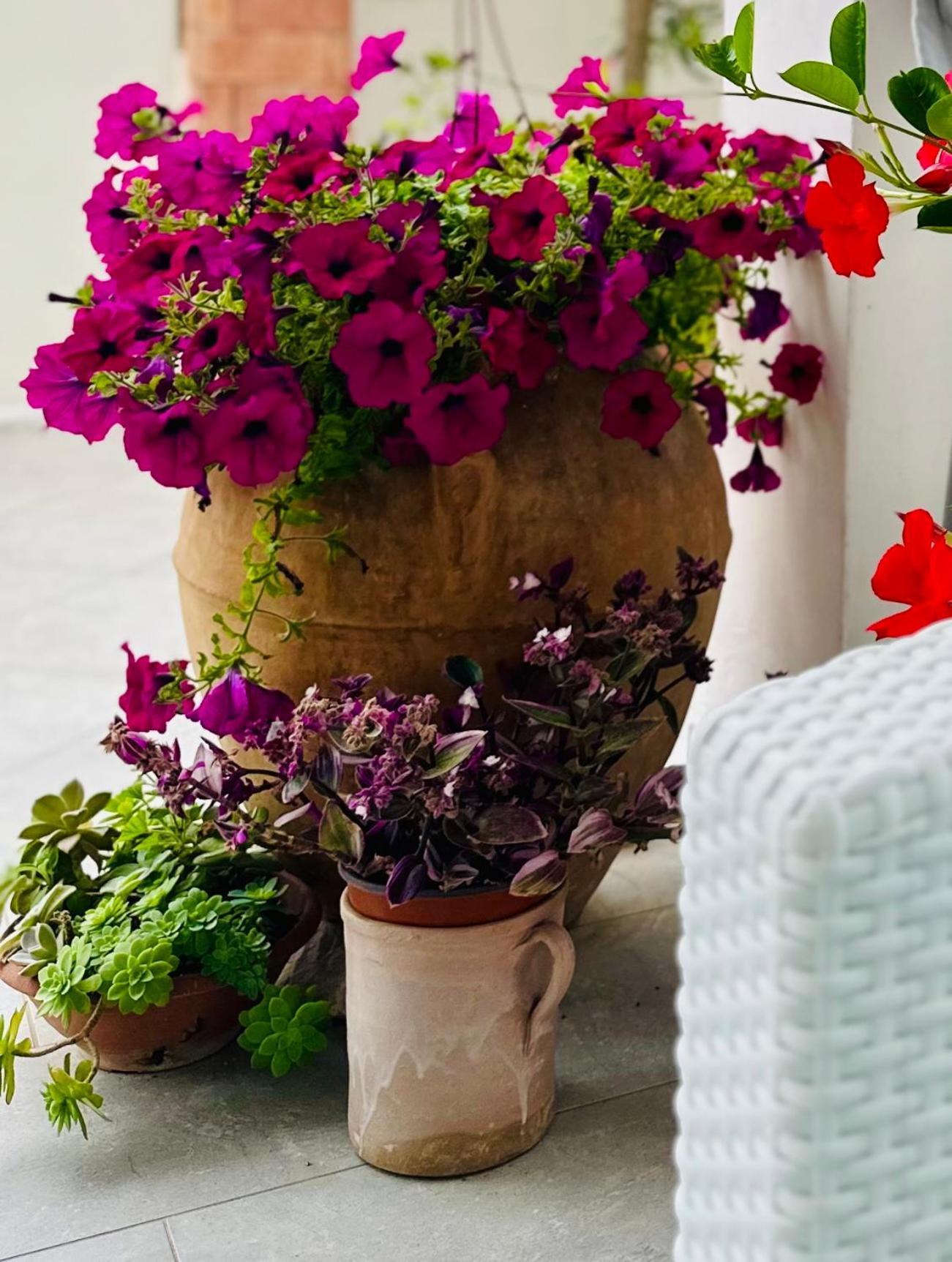 Invilla Bed&Breakfast - Quality Rooms Санта-Марія-ді-Кастеллабате Екстер'єр фото
