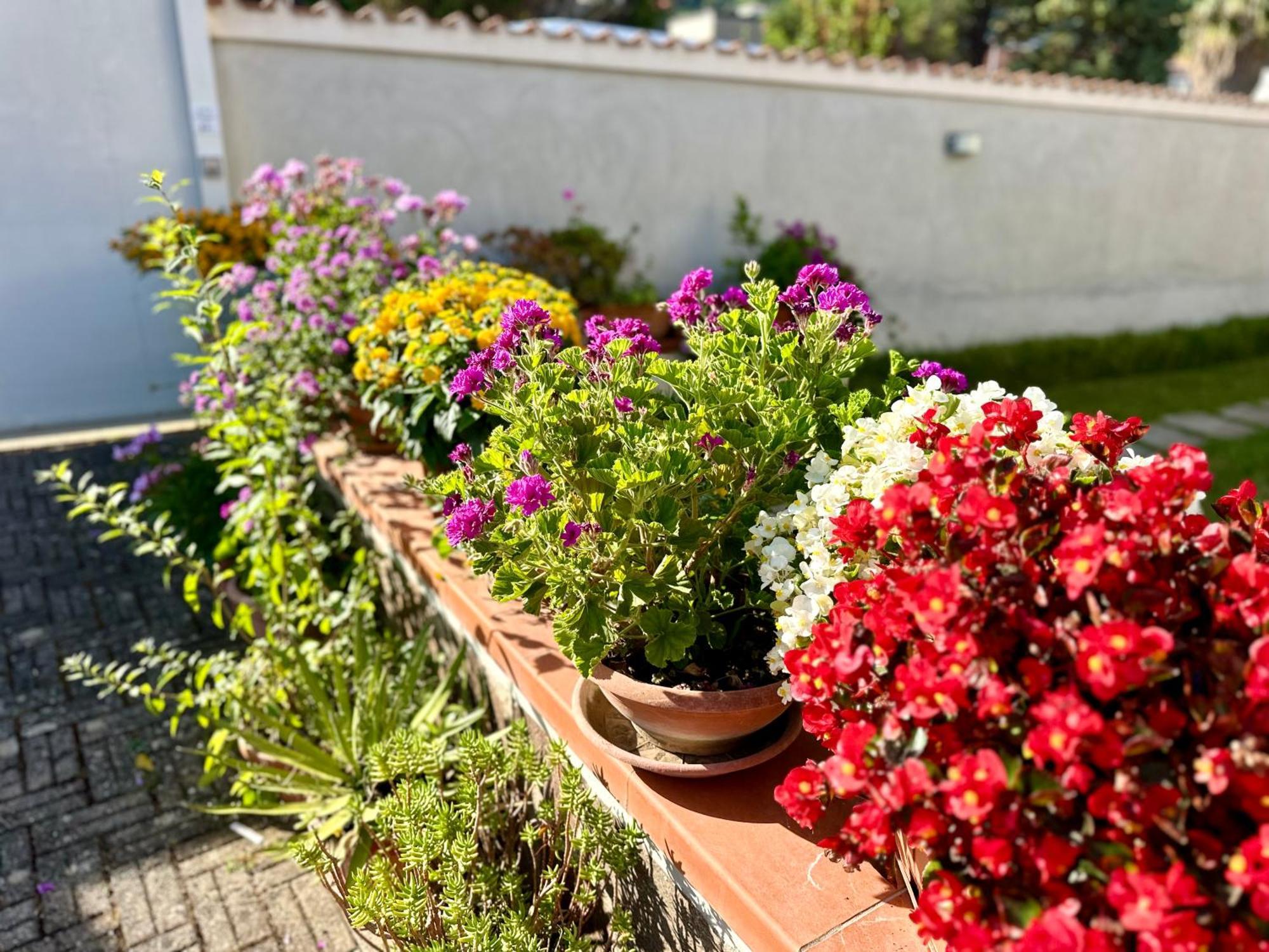 Invilla Bed&Breakfast - Quality Rooms Санта-Марія-ді-Кастеллабате Екстер'єр фото